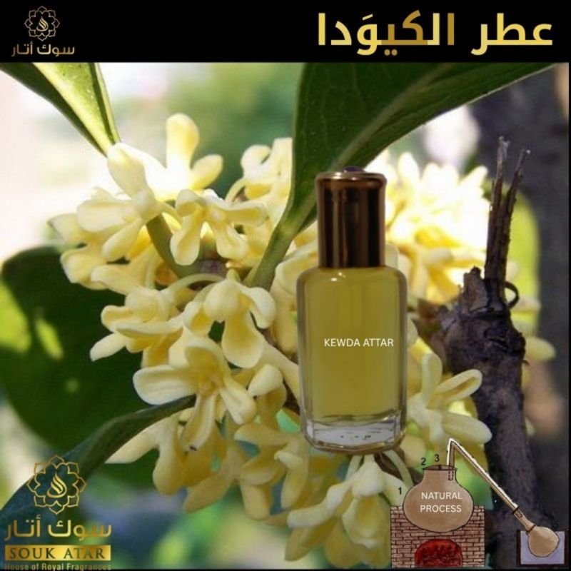 KEWDA  ATTAR